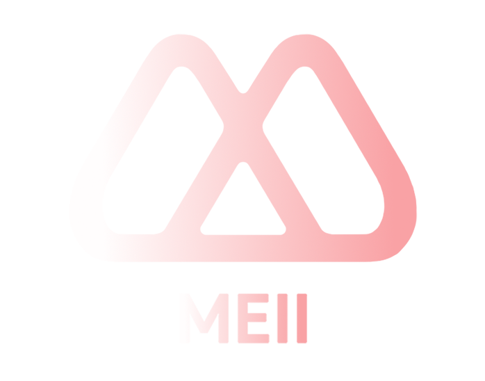 MEII logo